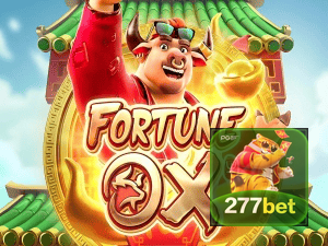277BET login — painel de entrada no app oficial