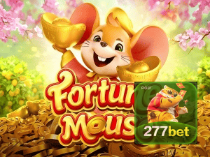 277BET login — configurações de segurança e proteção de conta